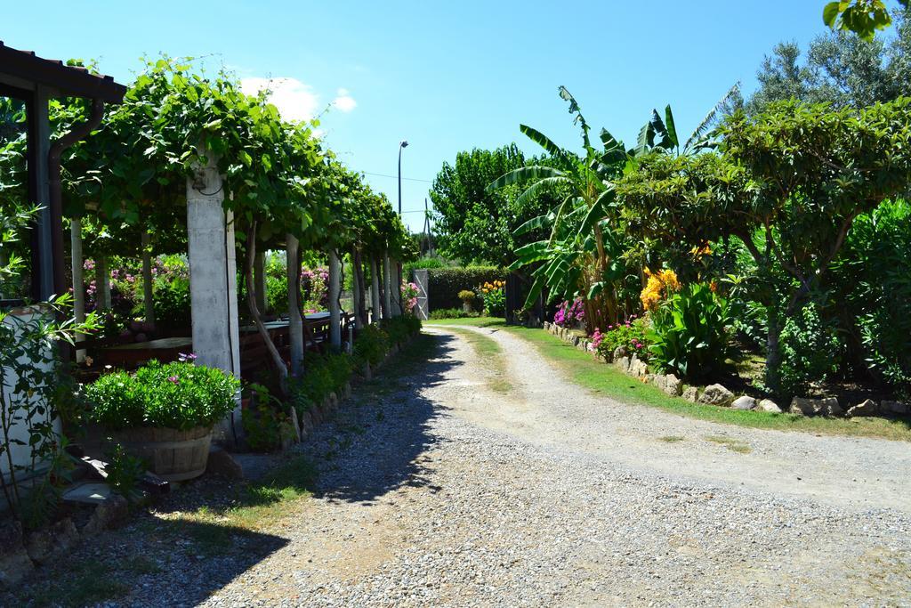 Agriturismo Il Maresciallo Villa Cariati Exteriör bild