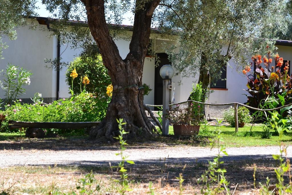 Agriturismo Il Maresciallo Villa Cariati Rum bild